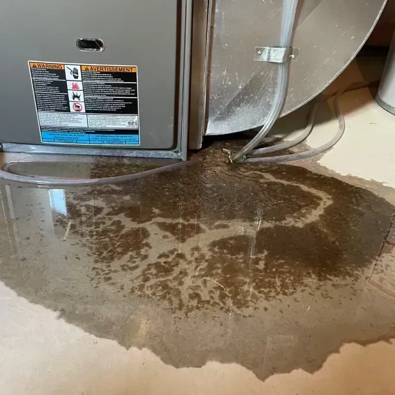 Appliance Leak Cleanup in Lockport, IL